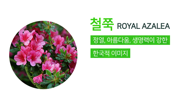 서경대학교상징 교화 철쭉. 정열, 아름다움, 생명력이 강한 한국적 이미지