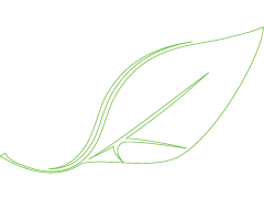 서경대학교 공식시그니처의 S와 K를 강조한 녹색과 흰색의 월계수 잎 이미지